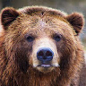 Meet your Posher, Leon